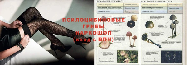 Альфа ПВП Алексеевка