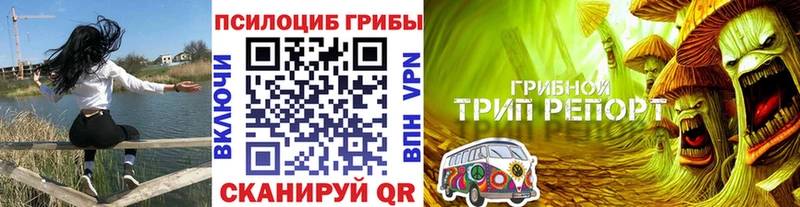 Галлюциногенные грибы Psilocybe  наркотики  Лесосибирск 